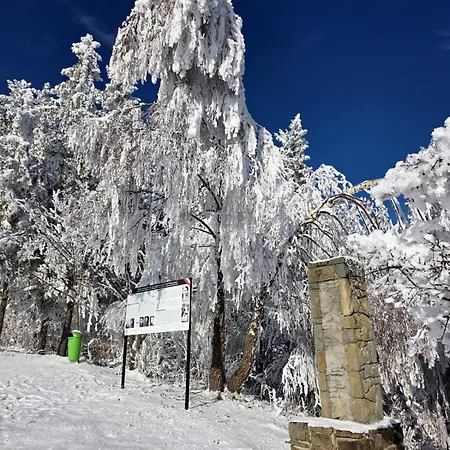W Chmurach Ii Villa Kicznia